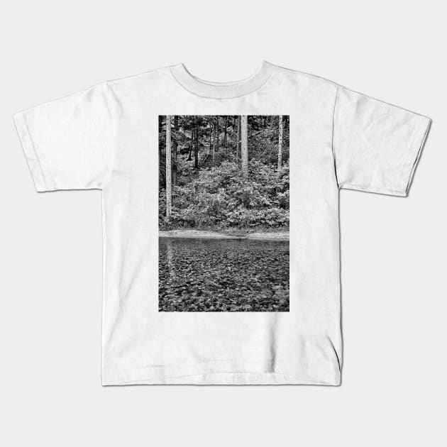 Big Thompson Canyon in Summer Kids T-Shirt by bobmeyers